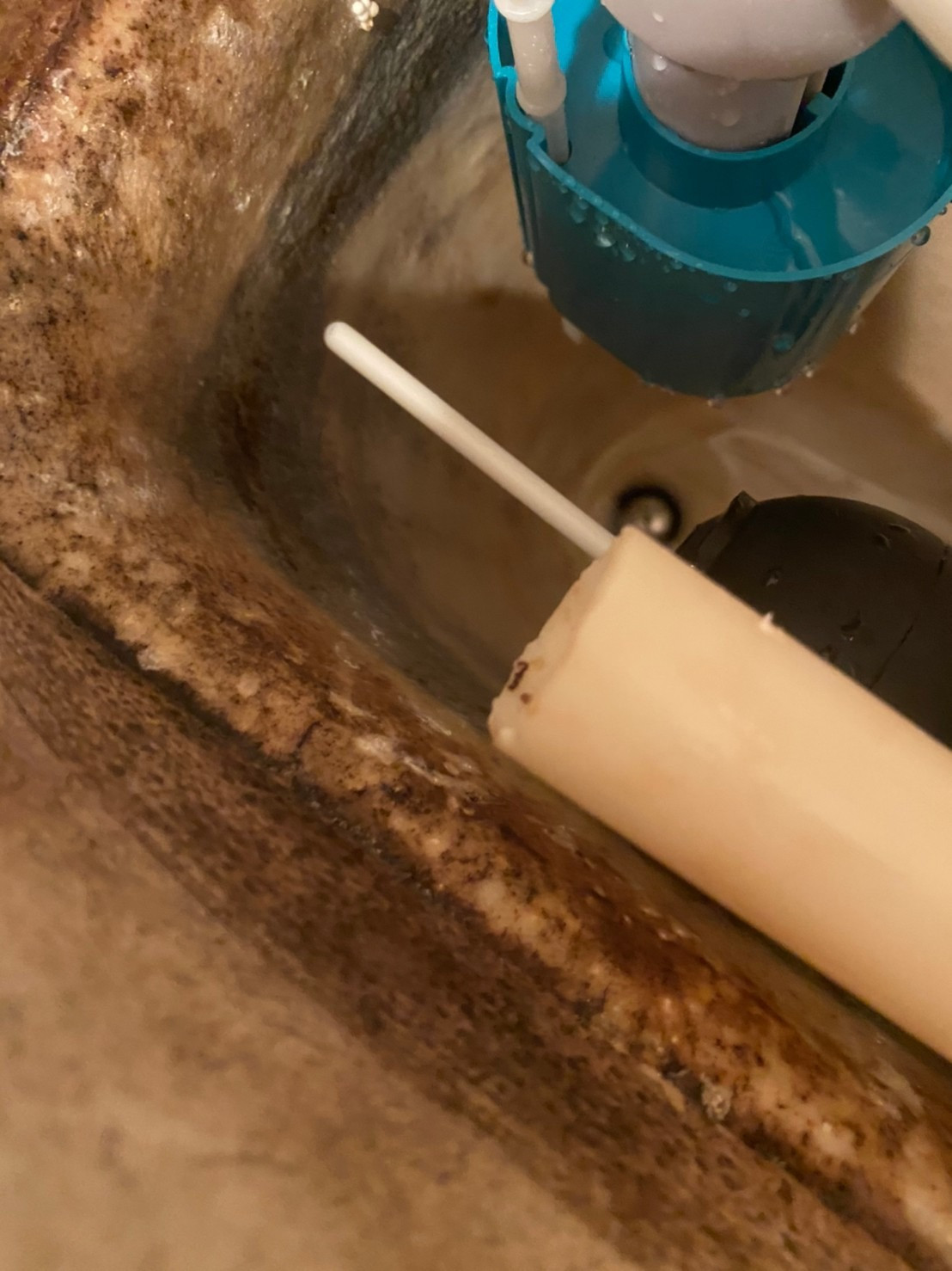リフォーム 高崎 トイレ漏水 ポールタップ フロート オーバーフロー 管交換 高崎にて評判が良いリフォーム業者は施工後も手厚くサポートします